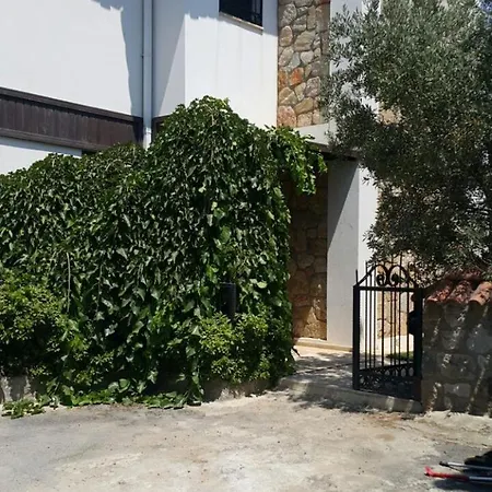 Important Group | Berry Villa