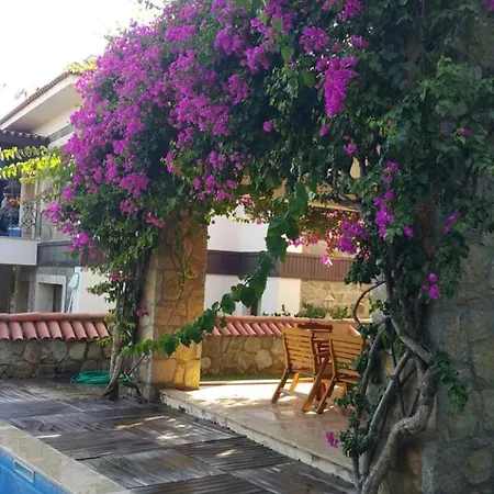 Important Group | Berry Vila Turgutreis